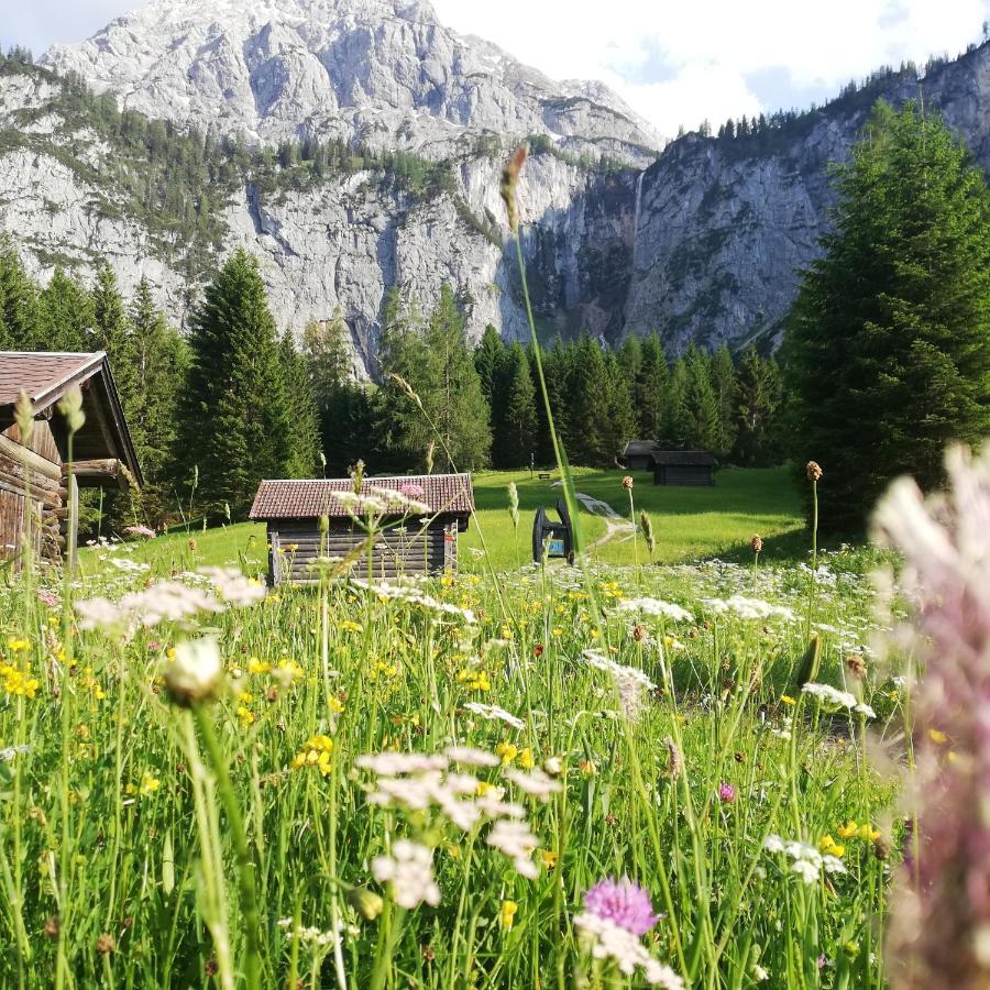 Gaestehaus Wilhelmshof Ehrwald Esterno foto